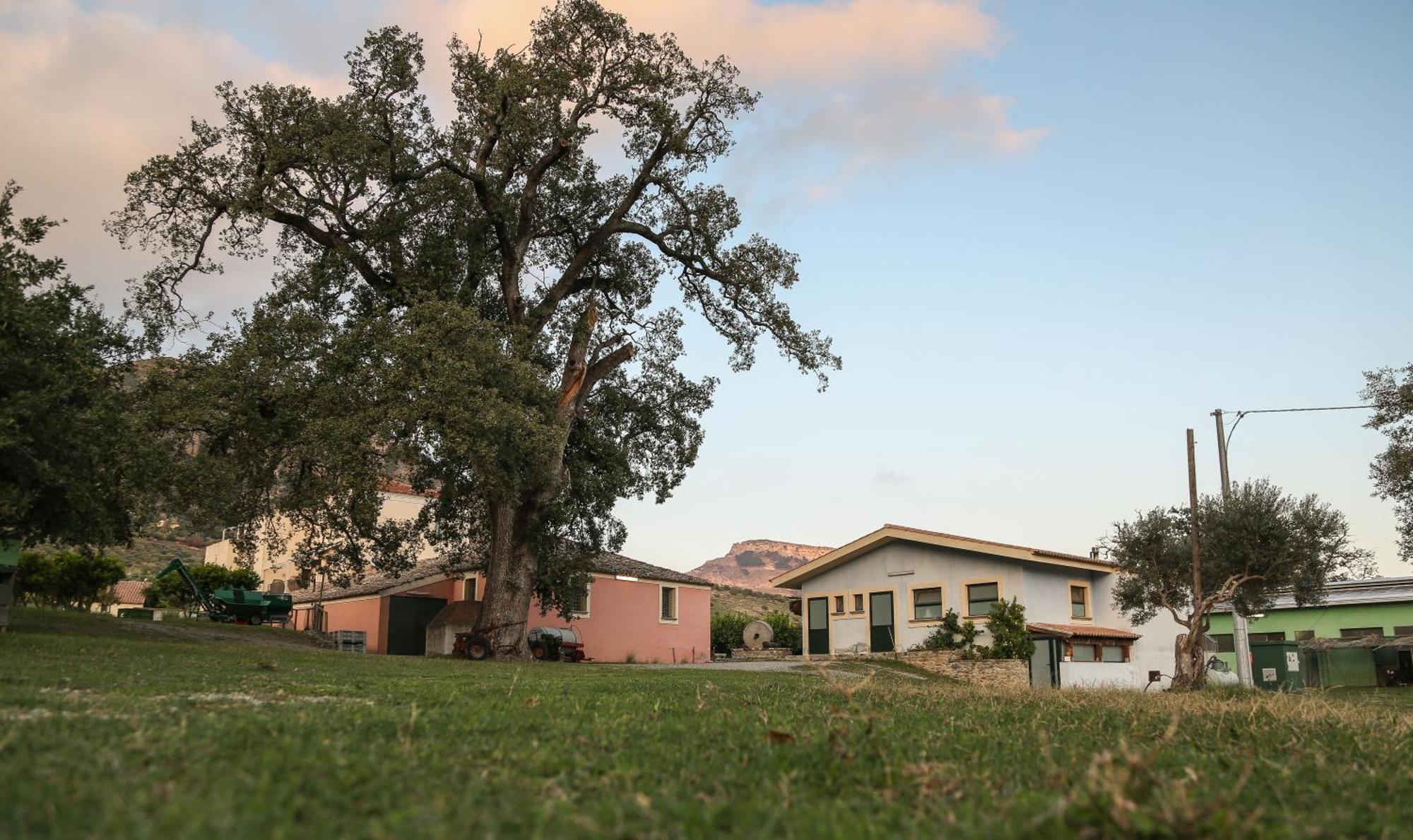 Barone Gr Macri Agriturismo Modi Джераче Экстерьер фото
